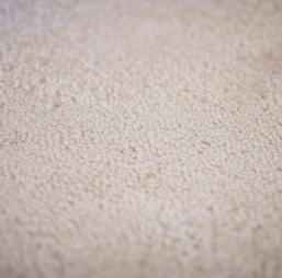 After Cleaning